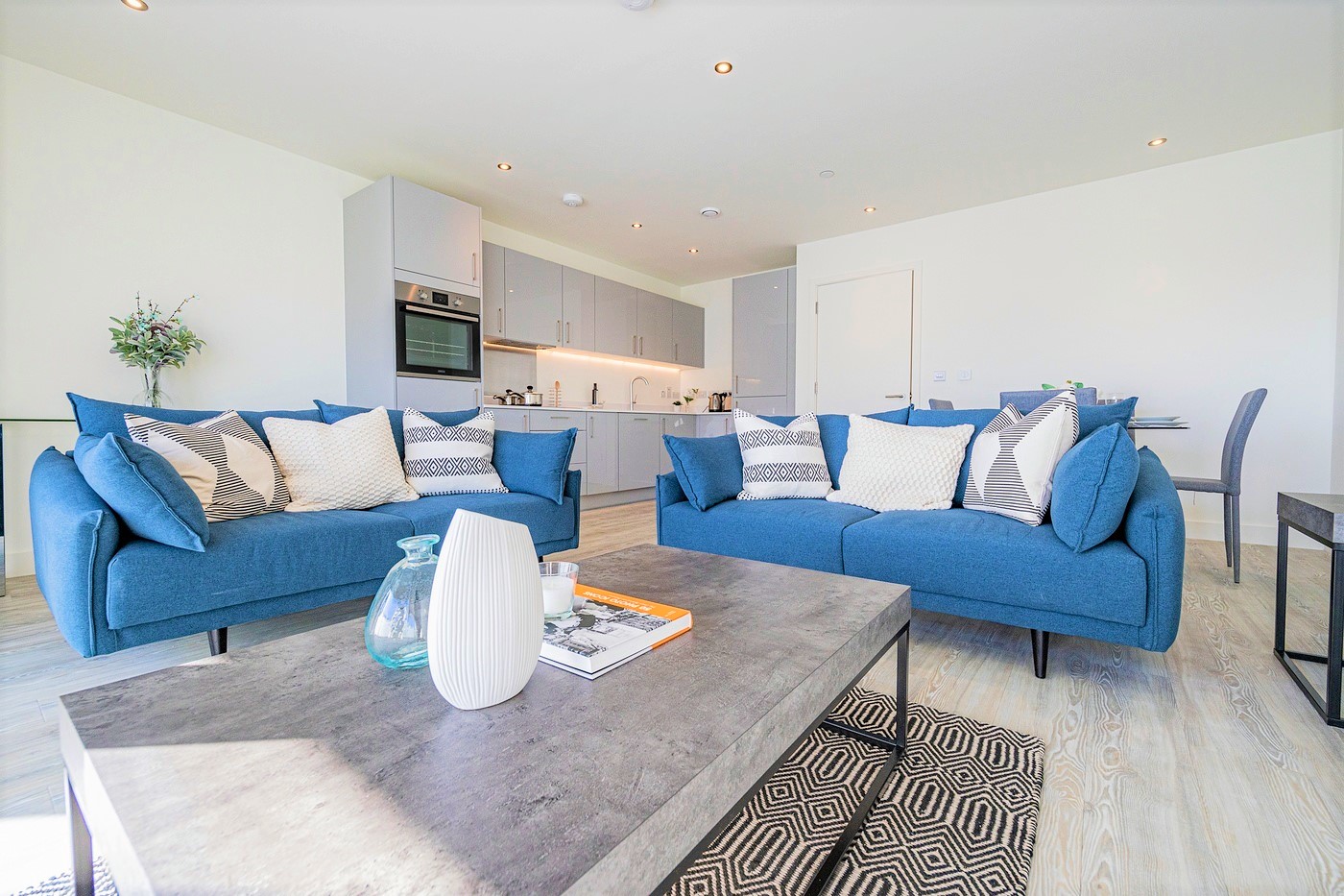EchoOne Apartment 41