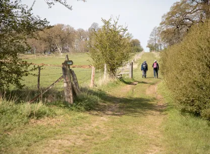 Newport-Countryside