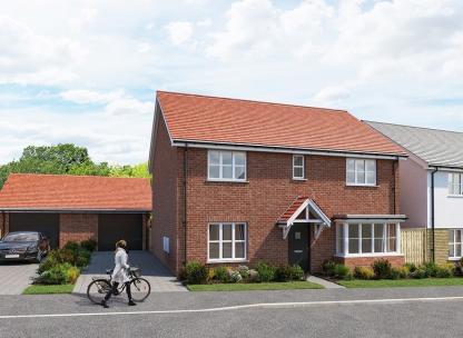 Rayners Green - Chestnut B