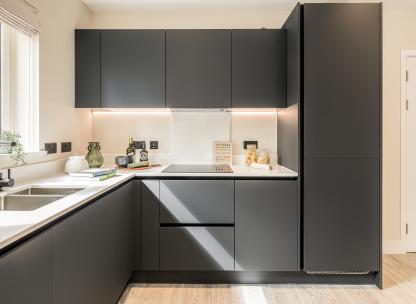 NGP show apartment