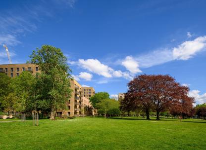 Lampton Parkside - Park Shot