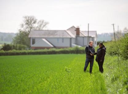 Team hill in field