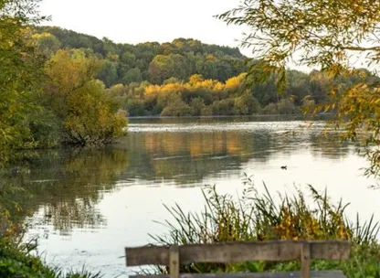 Lake in Hertfordshire