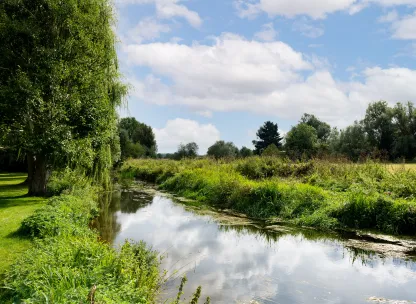 Great chesterfield, active living