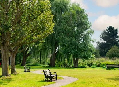 green fields in great chesterford