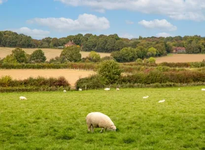Sissinghurst Area Photography