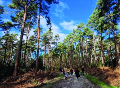 Hartley Acres, Moments of calm