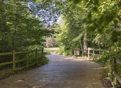 Nature2_LittleChalfont.jpg