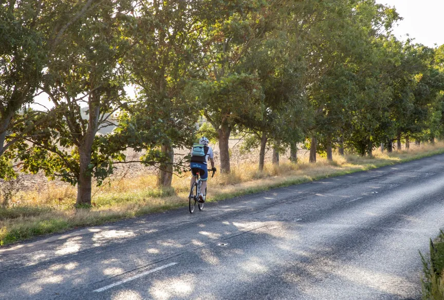 Cyclist in fulbourn