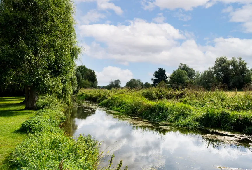 Great chesterfield, active living