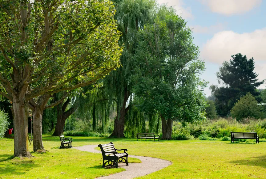 green fields in great chesterford