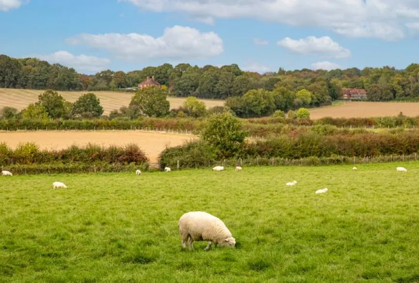 Sissinghurst Area Photography