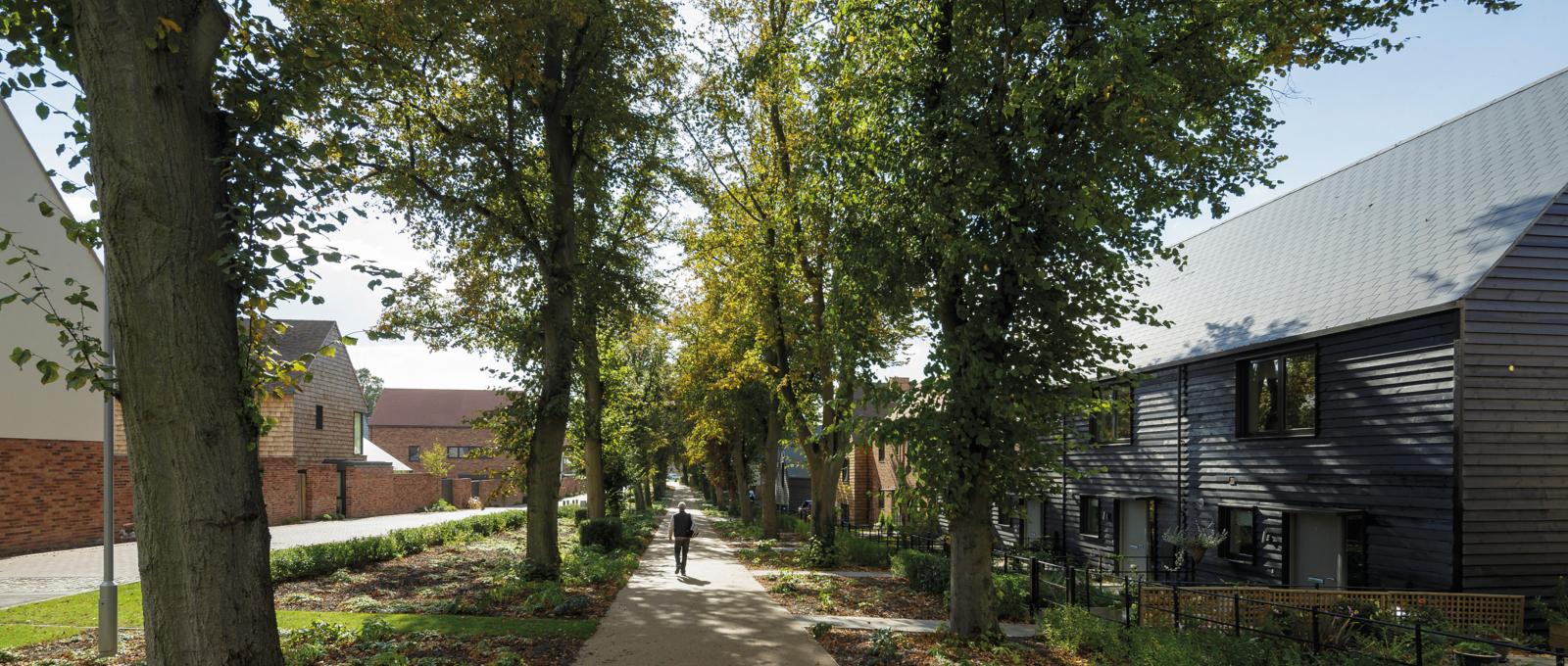 The Avenue, Saffron Waldon Hill