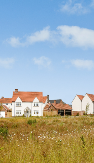 Eden Green Street Scene - Plot 27, 28 and 29
