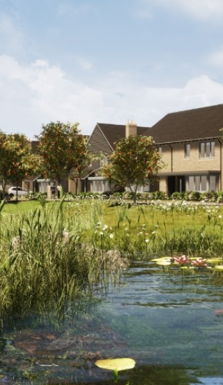 Willow Bank CGI 