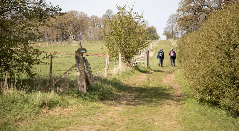 Newport-Countryside