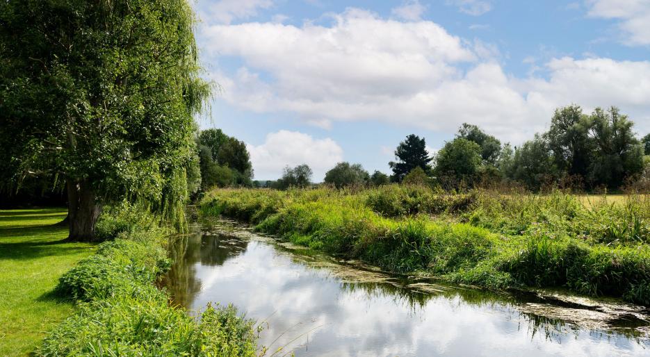 Chesterford Meadows