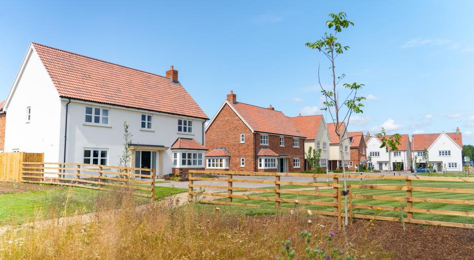 Chesterford Meadows