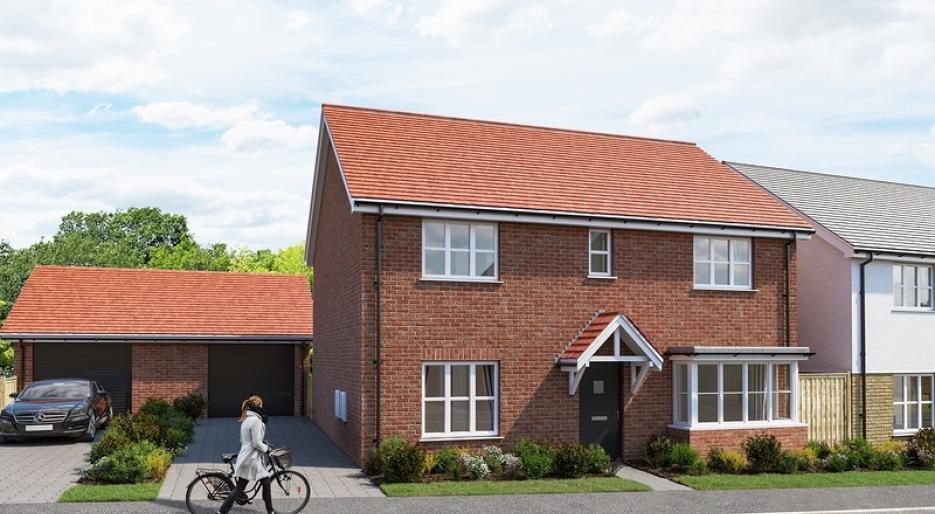 Rayners Green - Chestnut B