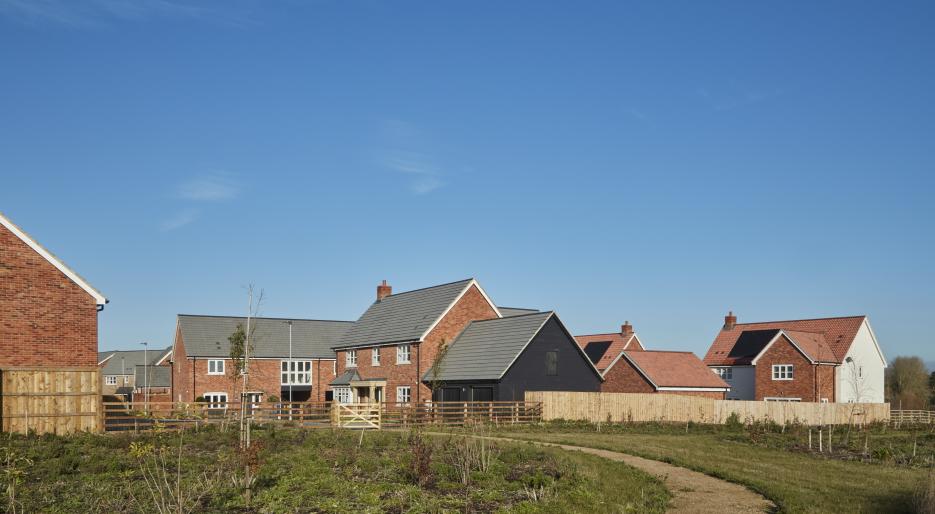 Chesterford Meadows - Field Scene