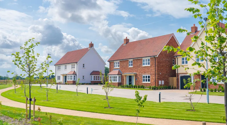 Chesterford Meadows Hero Streetscene