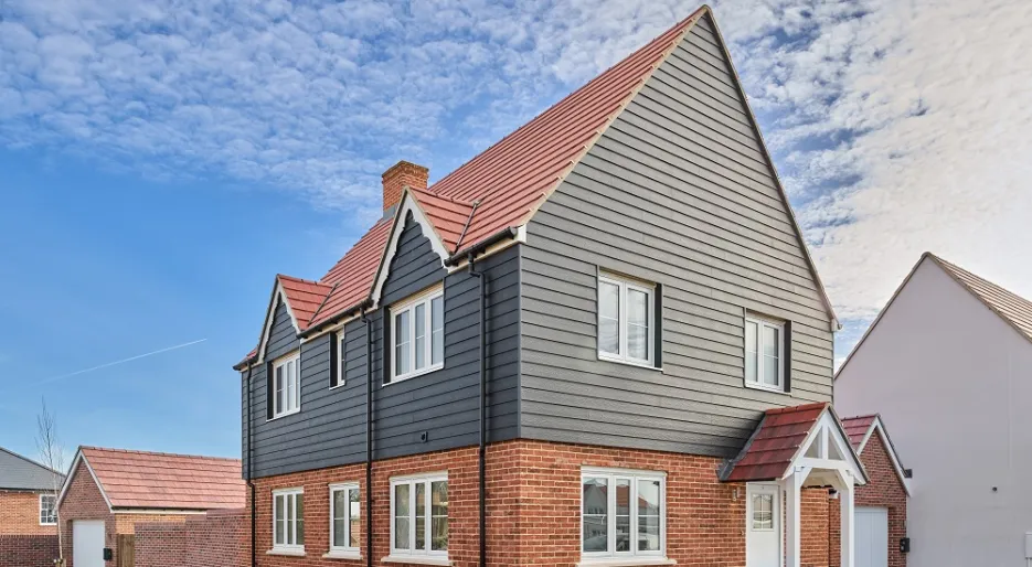 Plot 33 - The Forest (2)