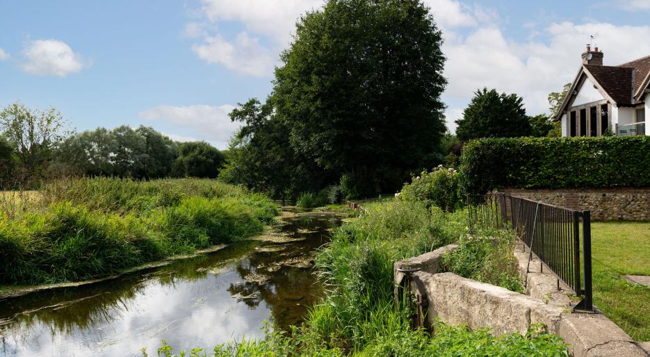 Chesterford Meadows