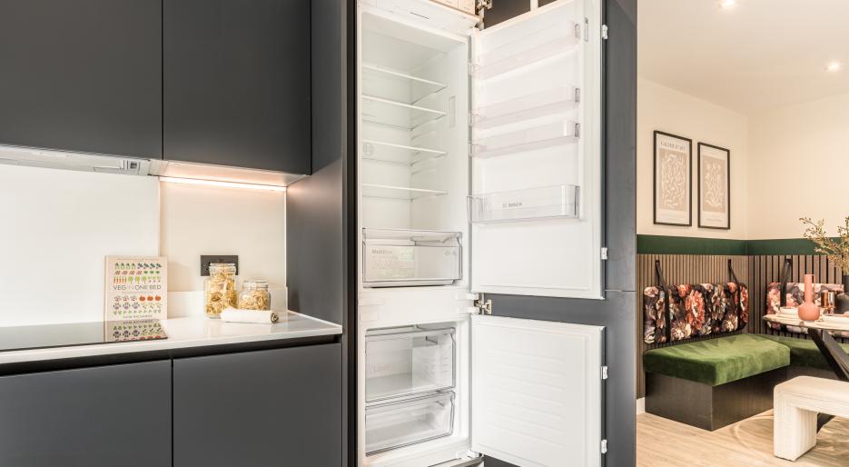 NGP show apartment