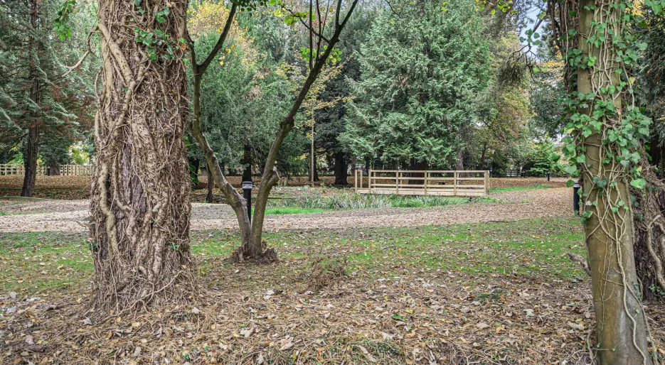 Farehurst Park - Woodland/Open Space 2 