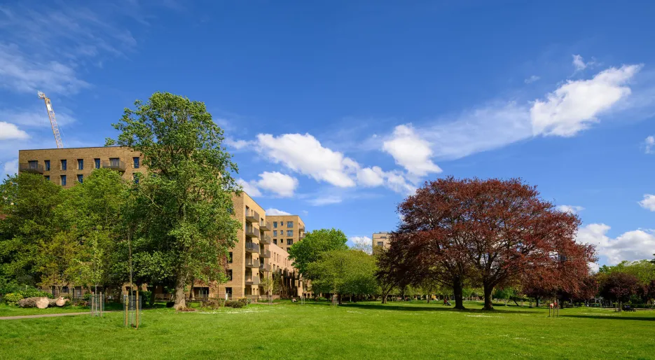 Lampton Parkside - Park Shot