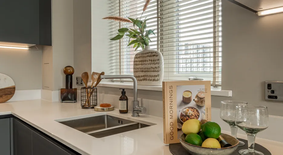 kitchen sink & window close up