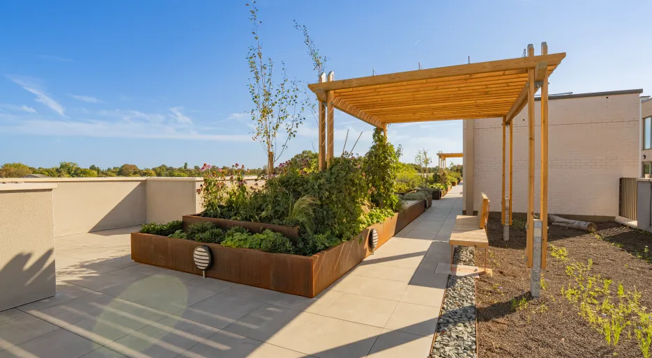 The Icon Rooftop Garden