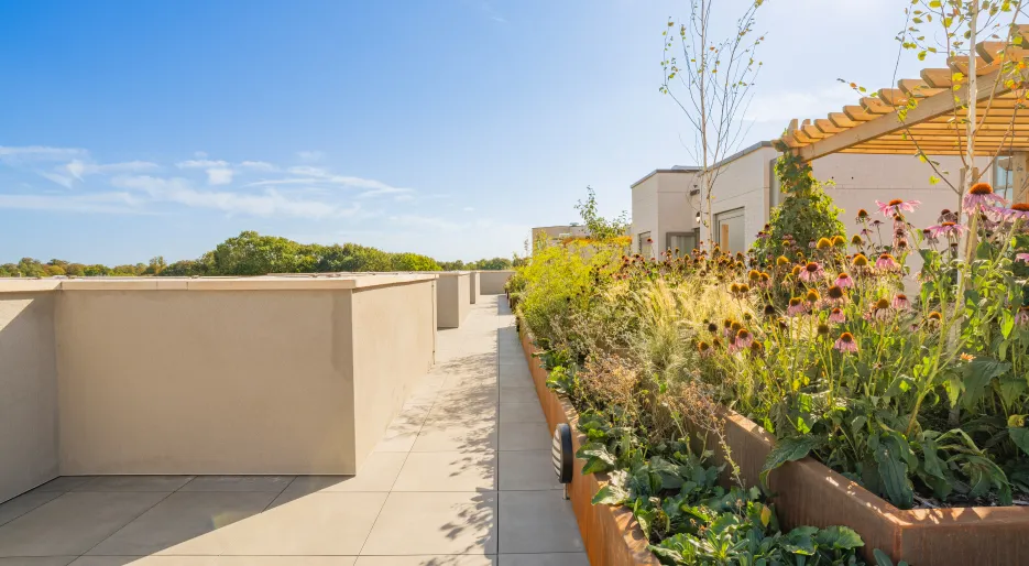 The Icon Rooftop Garden.