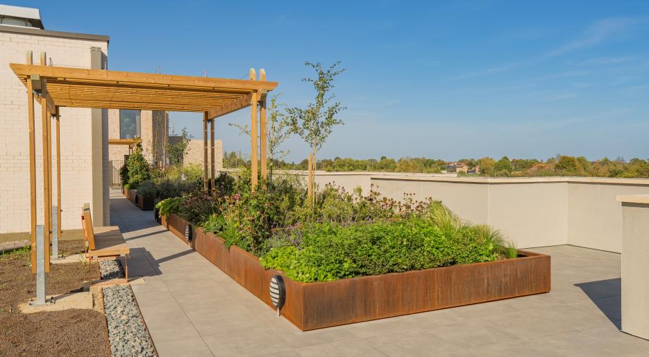 The Icon, Rooftop Garden
