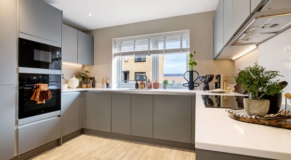 Kingsley Park, kitchen