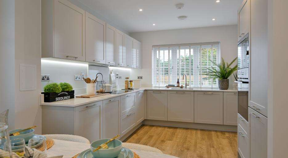 Hollymead Square - Garnett 