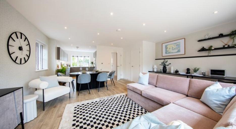 Millside Grange, 3 bed show home, living room