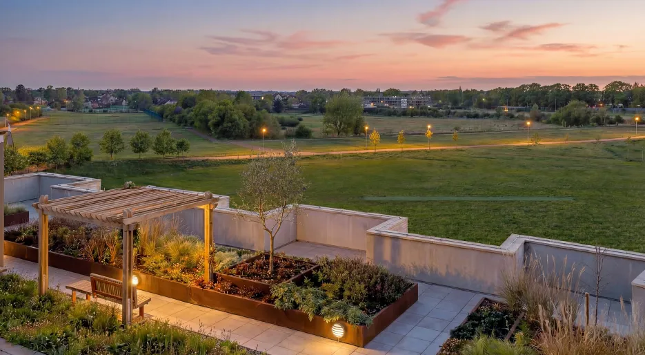 Rooftop Garden at The icon_Dusk