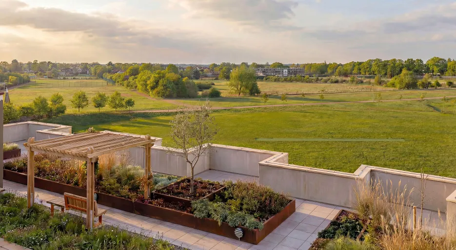 Rooftop Garden_Foliage.jpg