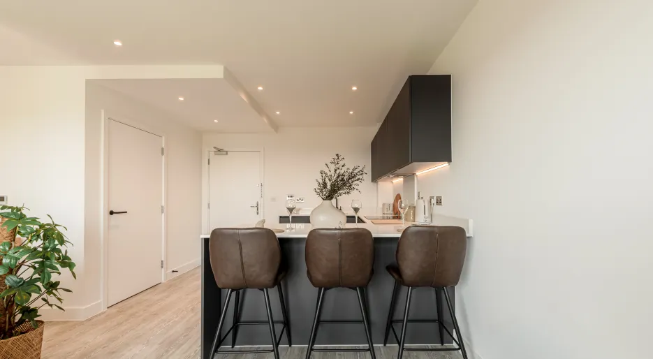 Kew Bridge Rise, Apartment 98, Studio, Kitchen bar