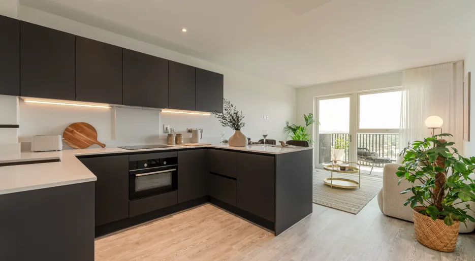 Kew Bridge Rise, Apartment 98, Studio, kitchen