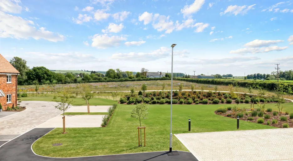 Viewpoint Plot 3, The Primrose