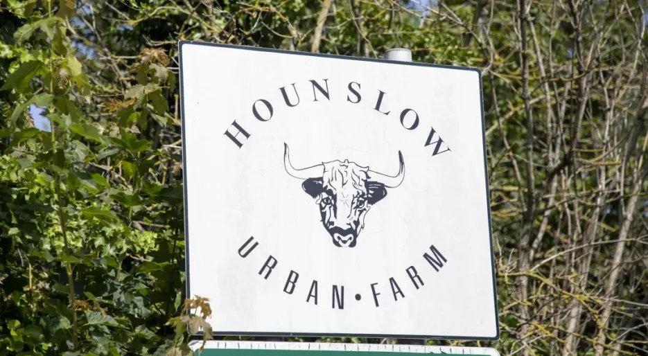 Hounslow Urban Farm-04