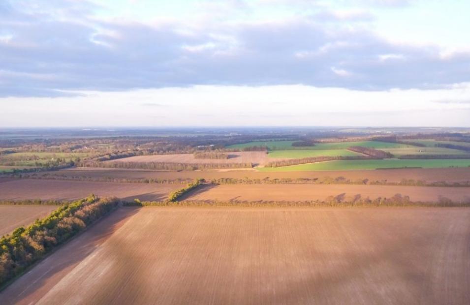 ariel shot of fields