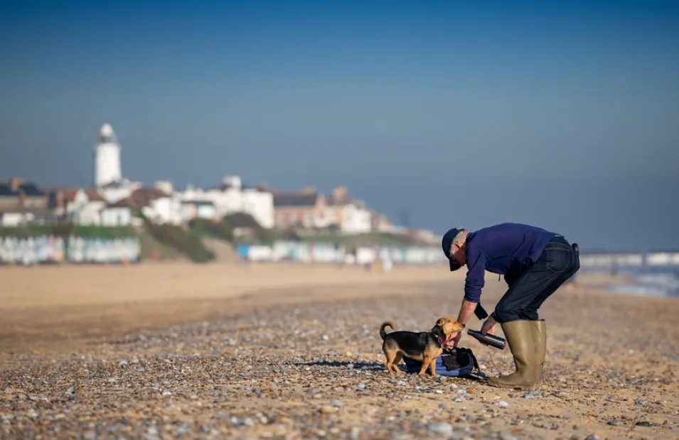 A man walking a small dog on a stoney beach in the sun
