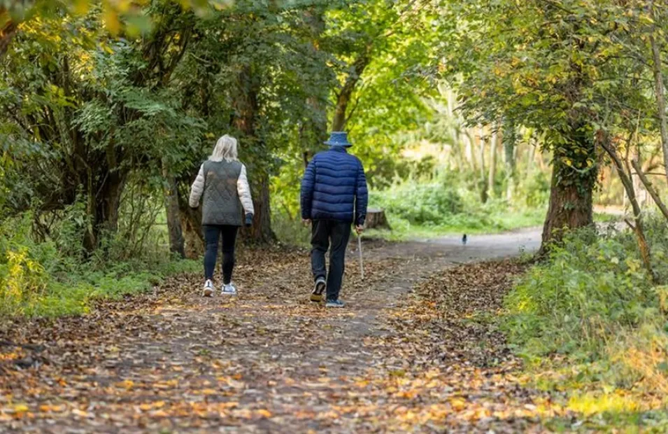 Couple walking their dog in a wooded area