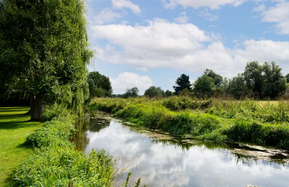 Great chesterfield, active living