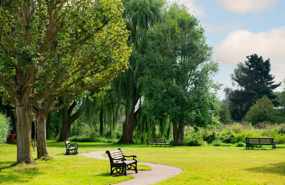 green fields in great chesterford