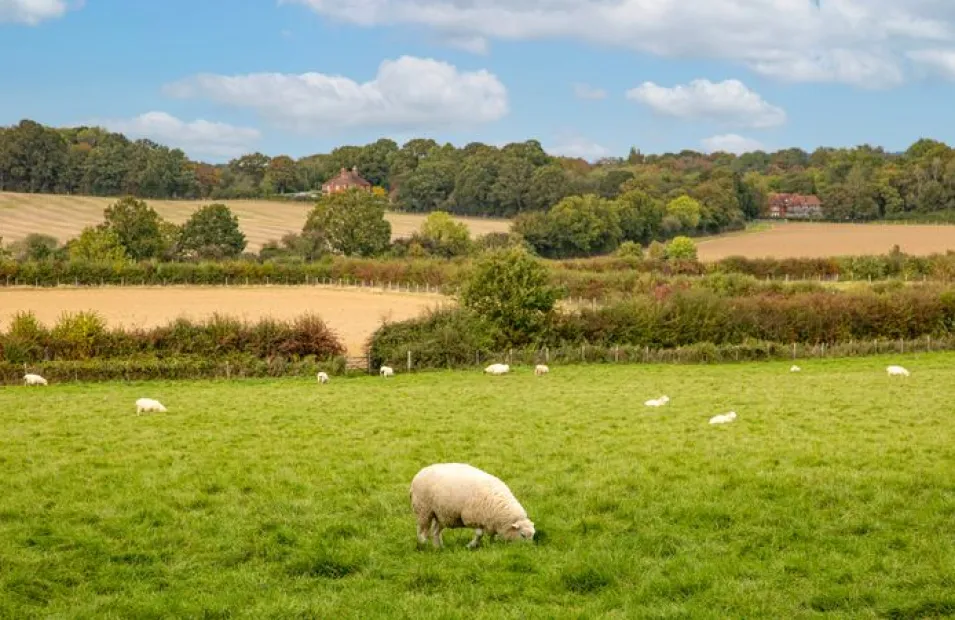 Sissinghurst Area Photography