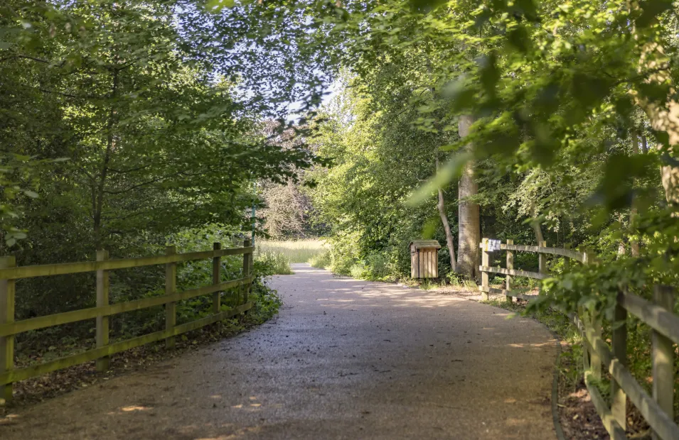 Nature2_LittleChalfont.jpg